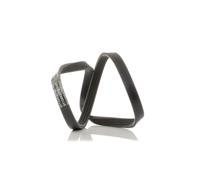 Correa trapecial poli V 73323AC010 STARK SK-4PK895