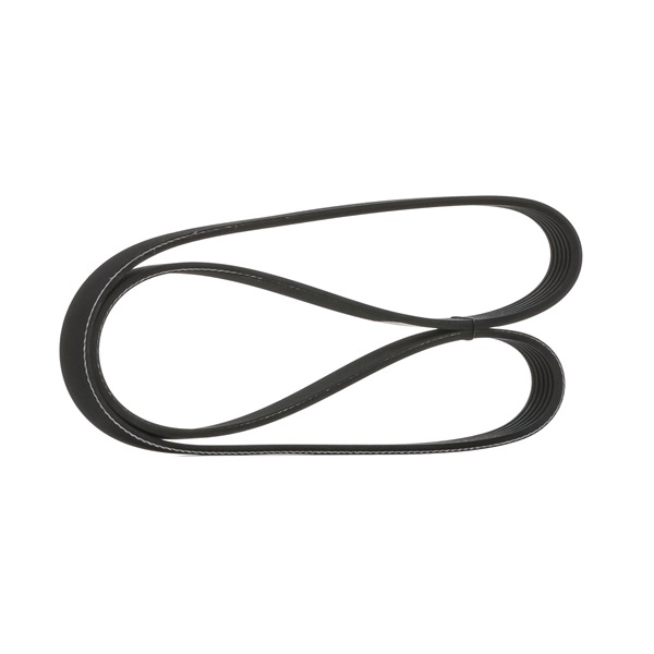 STARK SK-6PK1138 Multireim Renault Scenic 1 1.9 dCi RX4 Diesel 102 hk 2000 pris