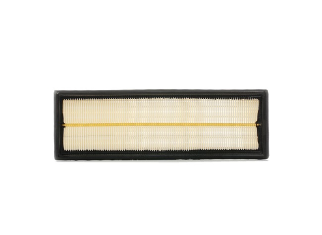 STARK SKAF-0060053 Motorluftfilter RENAULT Clio II Schrägheck (BB, CB) 1.9 dTi Diesel 80 PS 2004