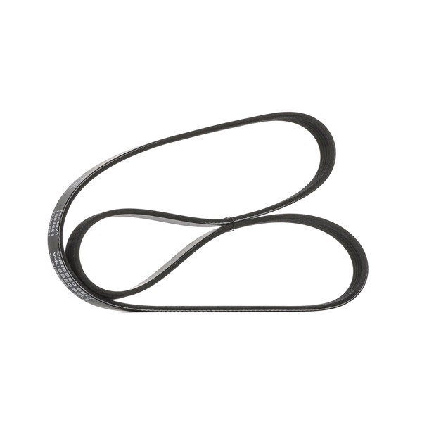 STARK SK-5PK1210 Auxiliary belt Astra G T98 1.6 Dualfuel (F08, F48) Petrol/Liquified Petroleum Gas (LPG) 75 hp 1998 price