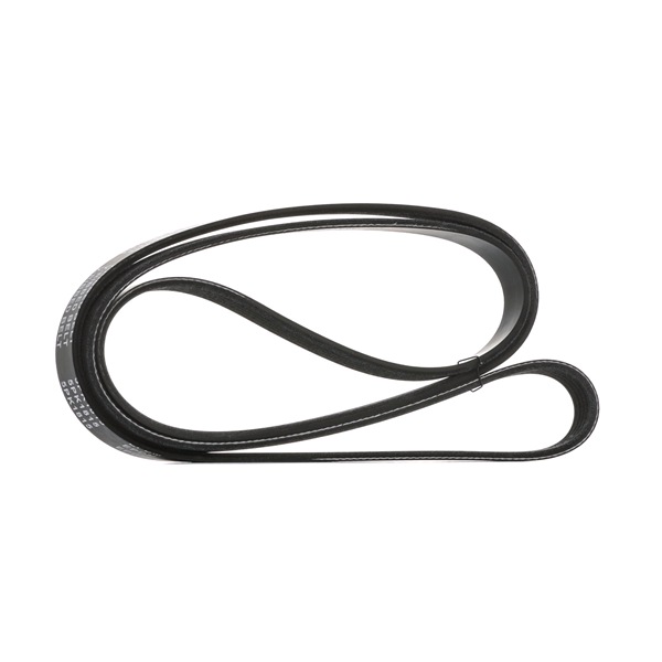 STARK SK-5PK1815 Courroie d'accessoire Kia Ceed SW ED 1.6 CRDi 90 90 CV Diesel 2011