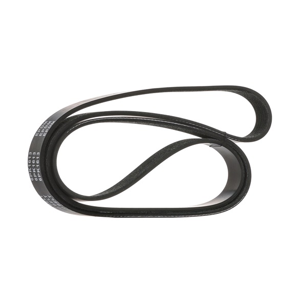 SK-6PK1613 STARK courroie d'alternateur FORD FIESTA