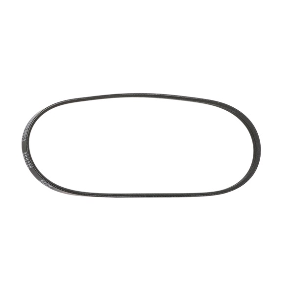 STARK SK-3PK735 Cinghia alternatore RENAULT CLIO 2 (BB0/1/2, CB0/1/2) 1.0 Flex (CB32, CB3B, CB3V, CB3W, BB32, BB3B, BB3V,... Benzina/Etanolo 77 CV 2010 prezzo