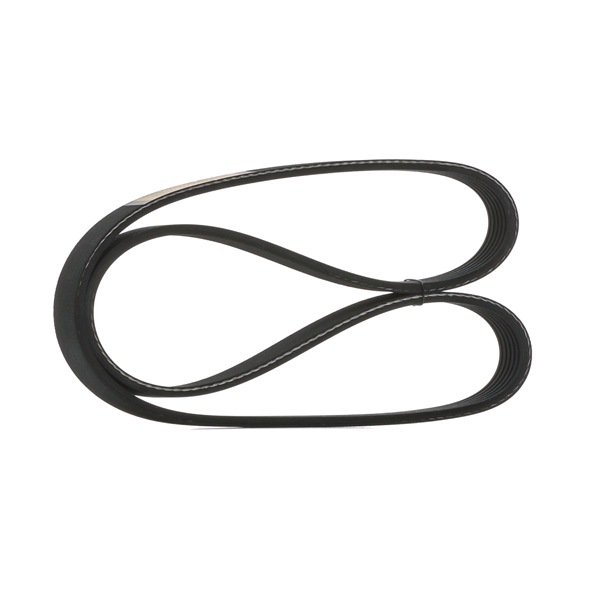 STARK SK-6PK855 Cinghia Poly-V Renault Clio 2 1.9 D (B/CB0E, BB0J) Diesel 64 CV 2003 prezzo