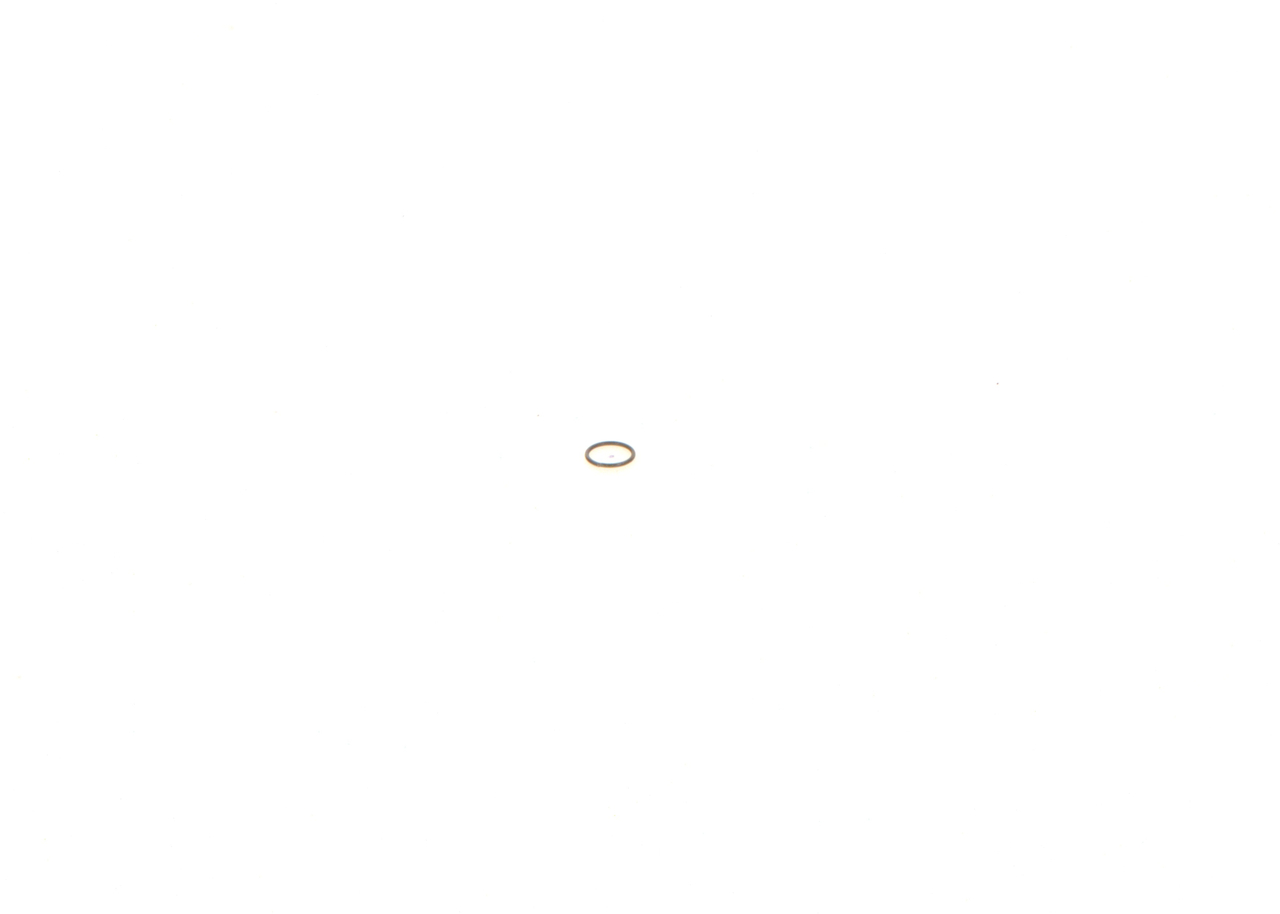 Seal Ring BOSCH 1 410 227 001 suitable for BMW, VW, AUDI, MERCEDES-BENZ, FORD at cheap price