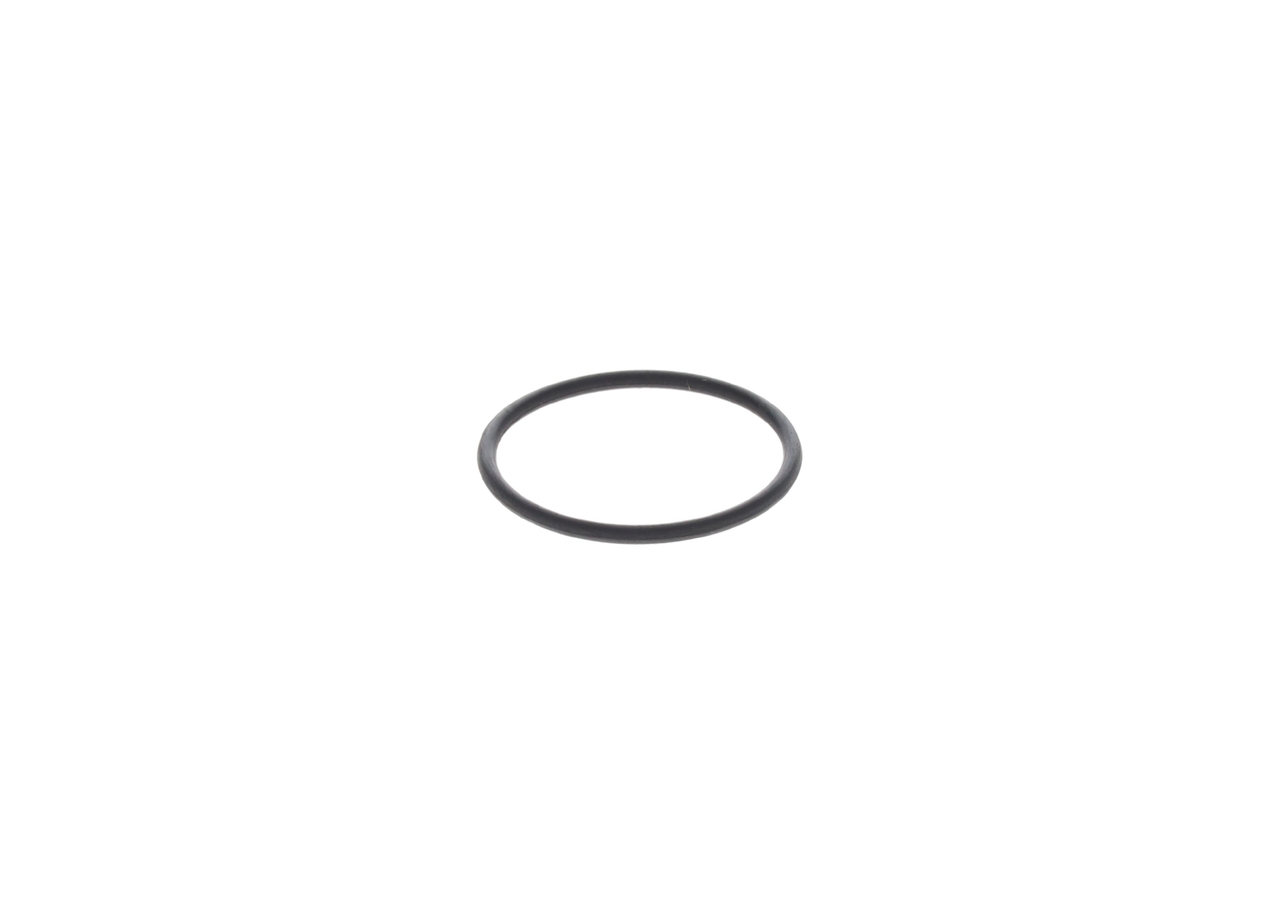 1309812 OE BOSCH Seal Ring 1 420 210 025