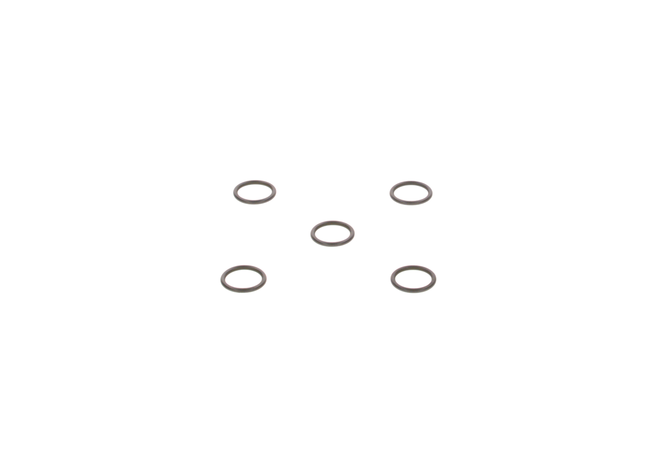 1745700 OE BOSCH Dichtring 2 440 210 020