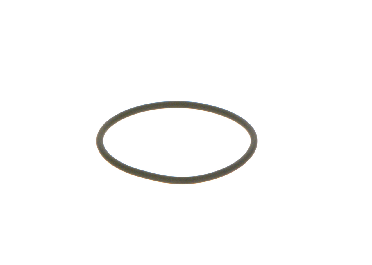 BOSCH Tetningsring F 00N 201 306
