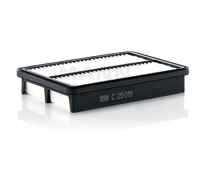 MANN-FILTER Filtro de ar C 25 019