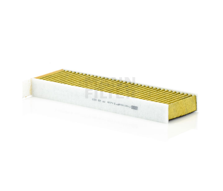 MANN-FILTER FP 29 003-2 Filtro de habitáculo CITROËN Berlingo II (B9) precio