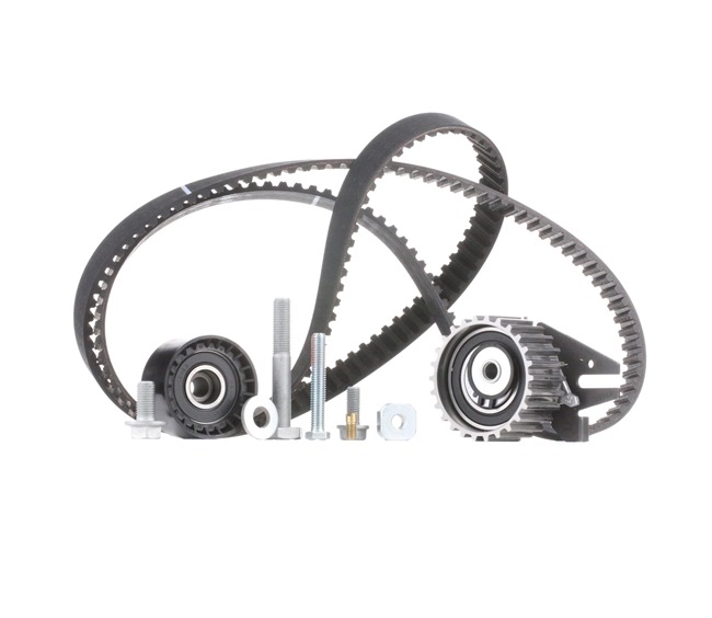636317 OE INA Kit de distribution 530 0624 10