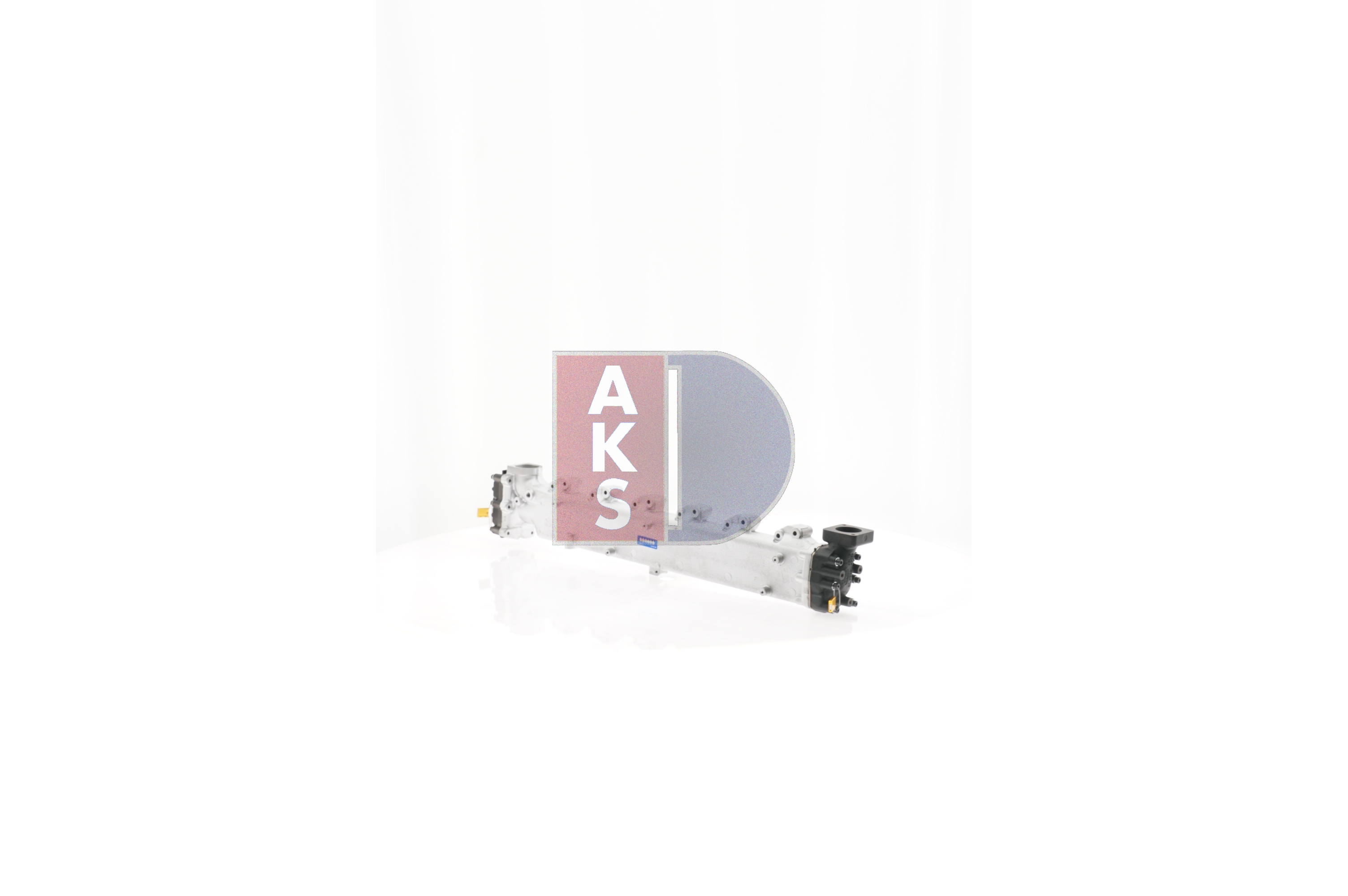 AKS DASIS Modulo EGR 260029T