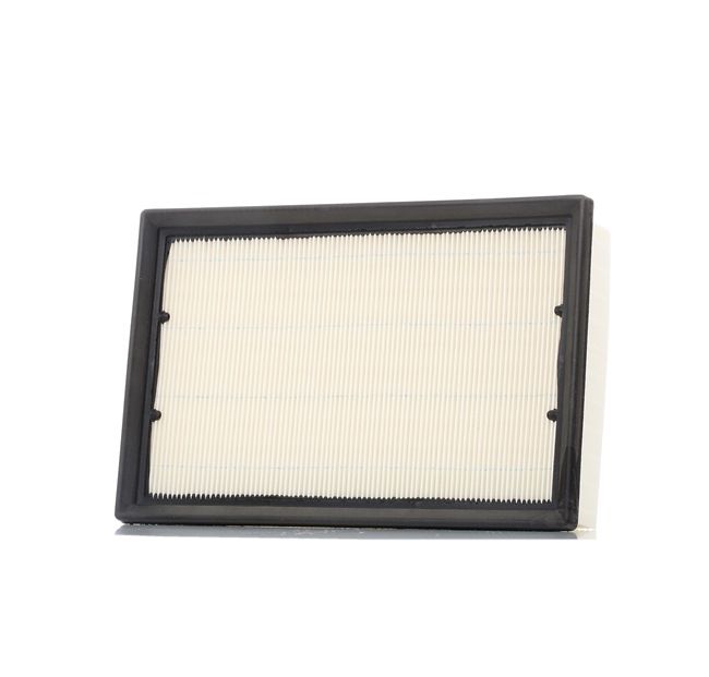 originale Land Rover RANGE ROVER CHAMPION Luftfilter CAF100867P