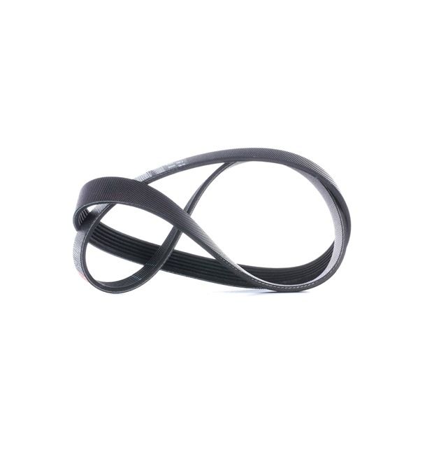GATES Correa trapecial poli V 6PK1030SF