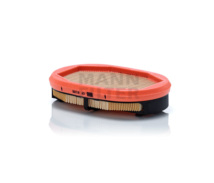 BHC5096 OE MANN-FILTER Secondary Air Filter CF 2125