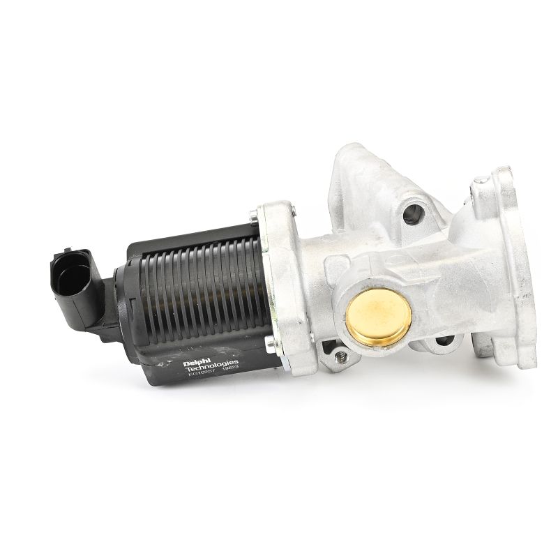 EG10257-12B1 DELPHI EGR klep FIAT BRAVO kopen