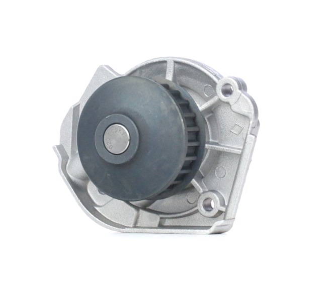 DOLZ 55184080 Waterpomp