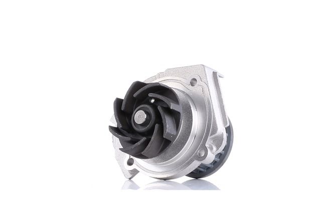 55284051 OE DOLZ Vandens siurblys S319
