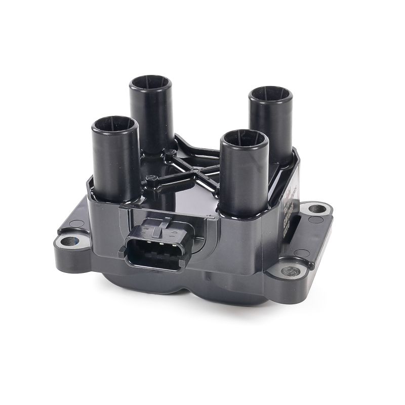 DELPHI Tändspole GN10365-12B1