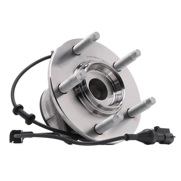 XR819273 OE STARK Kit de rolamento de roda SKWB-0180398