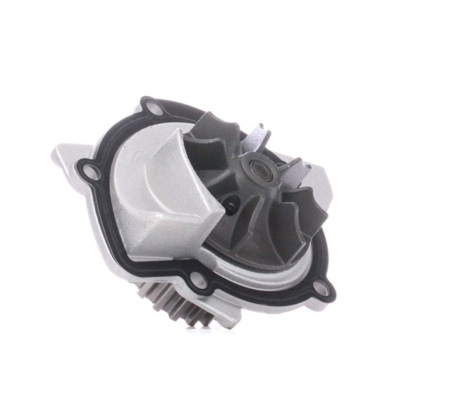 1201A6 OE DOLZ Pompe à eau C121