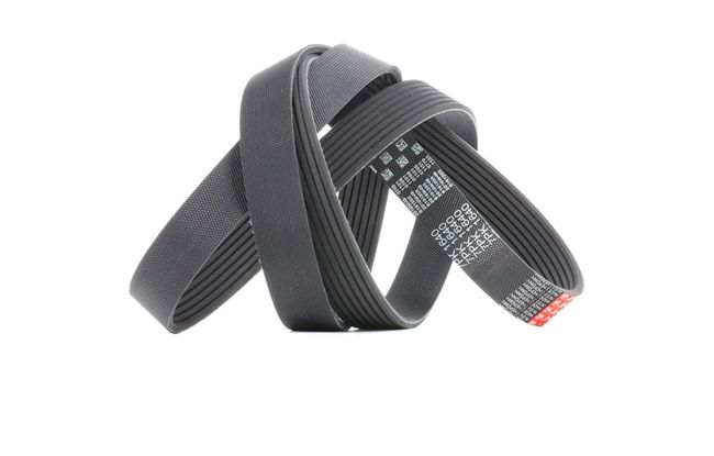 GATES 11720VC10C Multirem