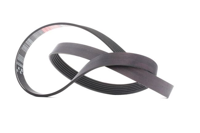 GATES 6PK1353 kileribberem Ford Focus 2 da