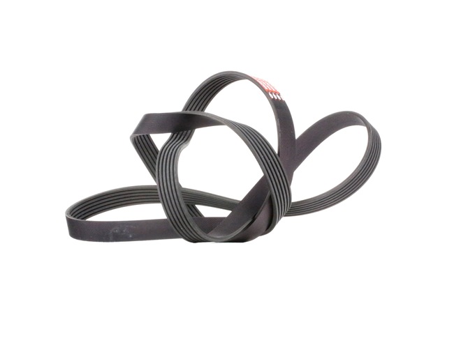 GATES 6PK1920 Rebrasti jermen AUDI A6 C6 Avant (4F5) 3.0 quattro Bencin 218 km 2005