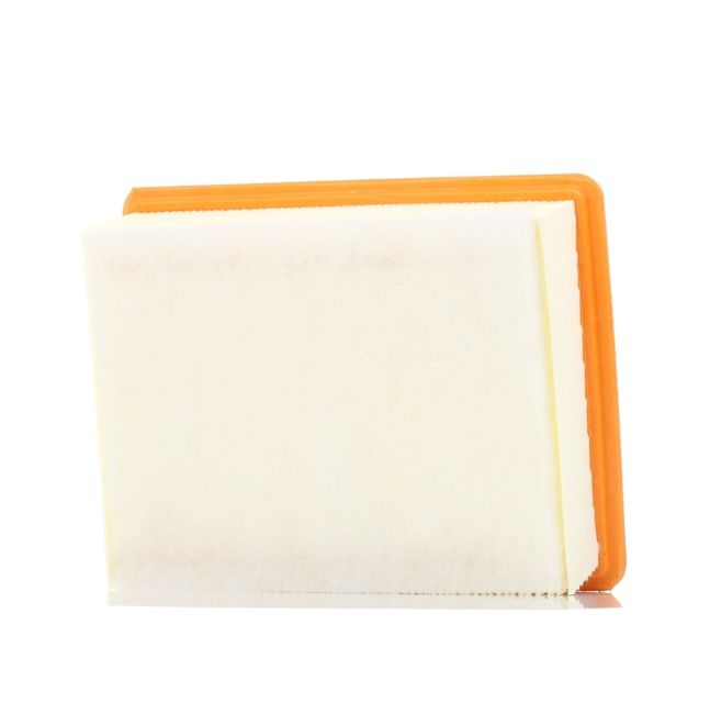 1444CC OE PURFLUX Zracni filter A1159