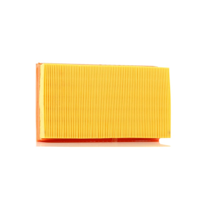 A762 PURFLUX 13721707050 Luftfilter