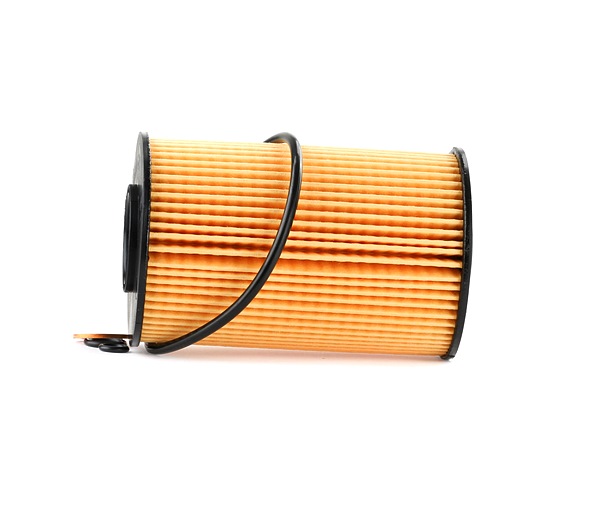 AS1534 OE PURFLUX Ölfilter L308