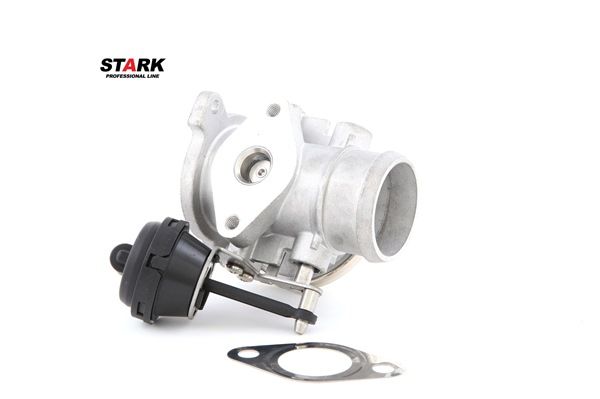 STARK SKEGR-0770015 EGR AUDI A4 B5 Sedan (8D2) 1.9 TDI Diesel 116 CV 2000 prezzo