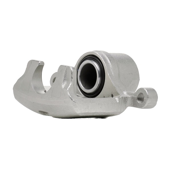 Jarrusatula STARK SKBC-0460052