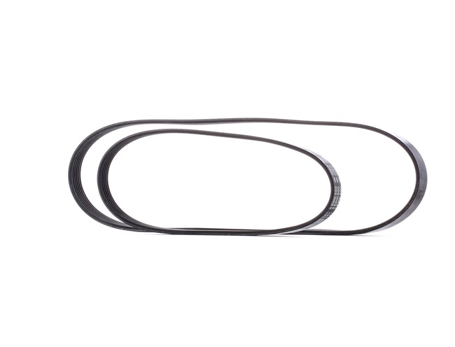 BOSCH 1253583 Poly V-riem set