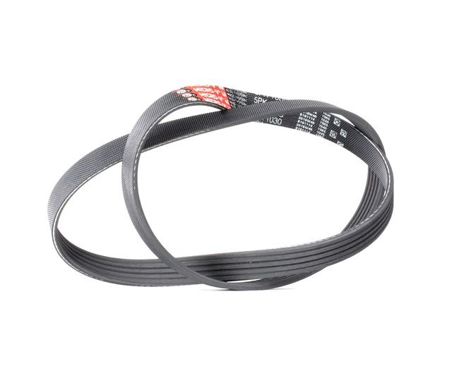 GATES 5PK1030 CITROЁN SAXO Kileribberem pris