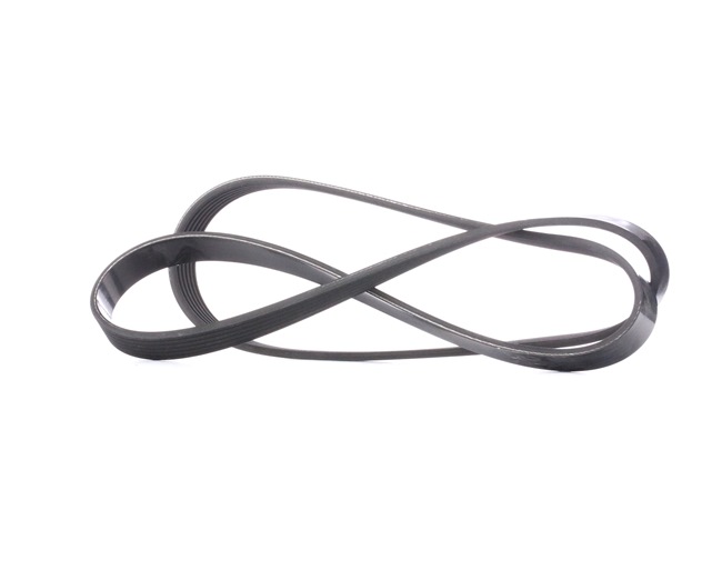 DAYCO Keilrippenriemen 6PK1381