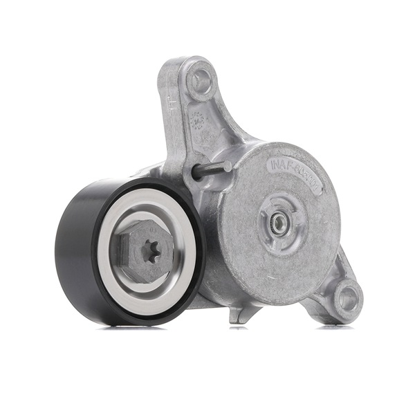 INA 534 0420 10 originele MINI riemspanner