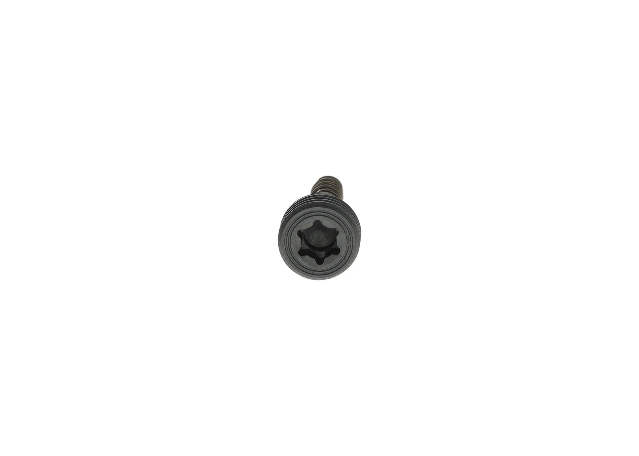 BOSCH Module-EGR F 00N 204 001