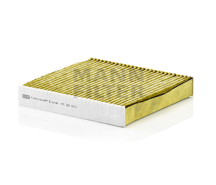 MANN-FILTER FP 22 011 RENAULT 25 Pollenfilter pris