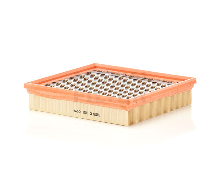 MANN-FILTER C 22 029 Luftfilter CHRYSLER 300