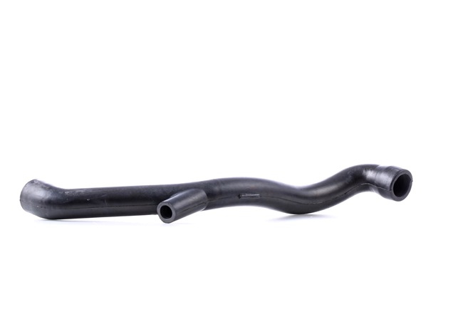 FEBI BILSTEIN Tubo flexible, ventilación bloque motor 46736
