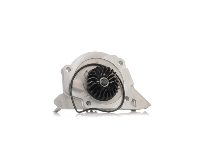 STARK SKWP-0520106 Pompe à eau 307 3 Portes 2.0 16V Essence 140 CV 2005 prix