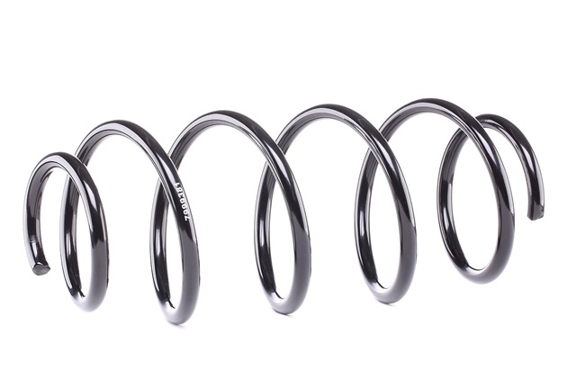 1528124 OE STARK Coil spring SKCS-0040210