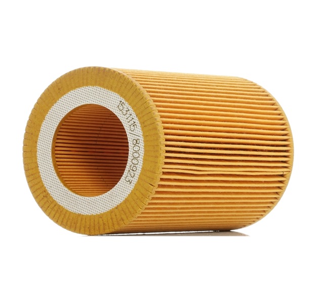 0003124V001000000 OE RIDEX Filtre à air 8A0137
