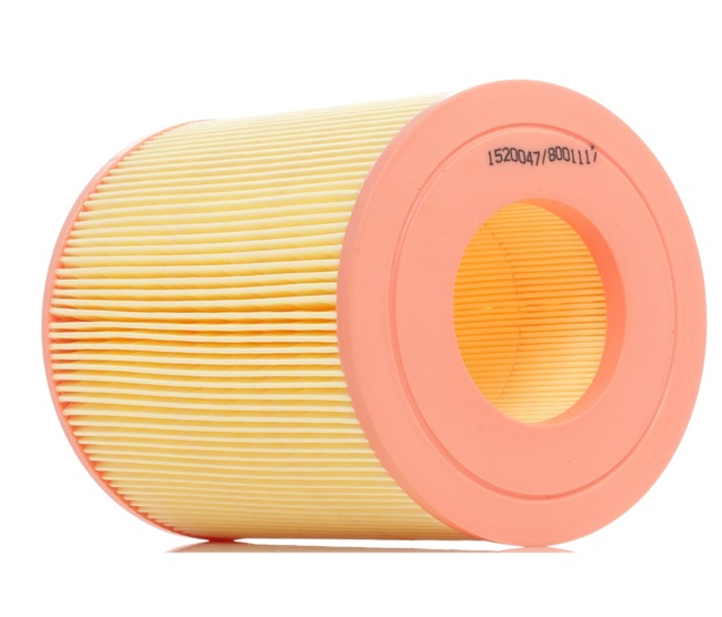 RIDEX 8A0094 Filtro aria MERCEDES-BENZ Classe A (W168) A 140 1.4 (168.031, 168.131) Benzina 82 CV 2004 prezzo