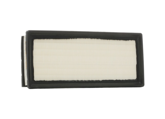 RIDEX 8A0179 Oro filtras ALFA ROMEO GT (937) 2.0 JTS (937CXH1A, 937CXH11) benzinas 165 AG 2010