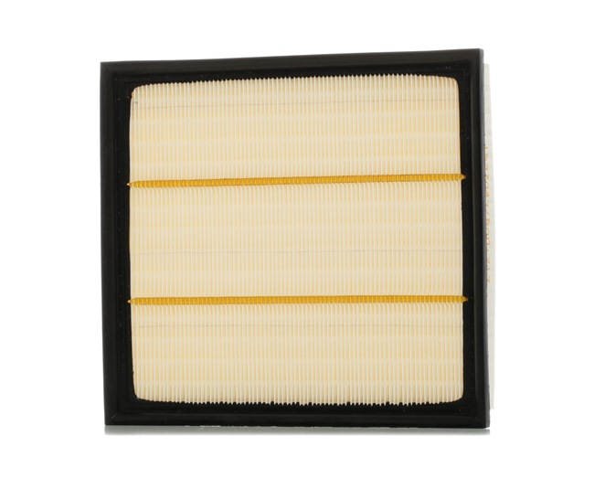 8A0220 RIDEX 6C119601CB Luftfilter