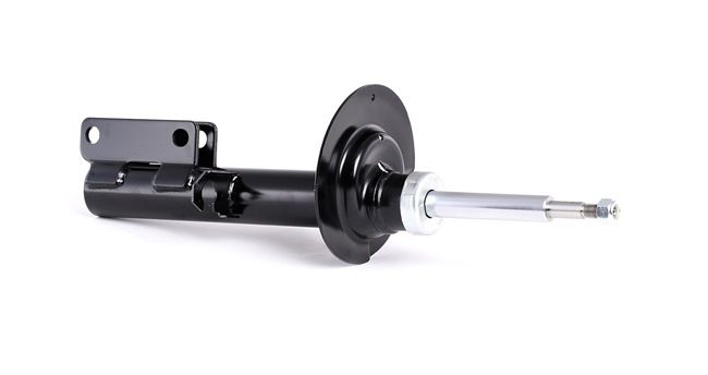 RIDEX 854S0289 Federbein BMW X5 (E53) 4.8is Benzin 360 PS 2005