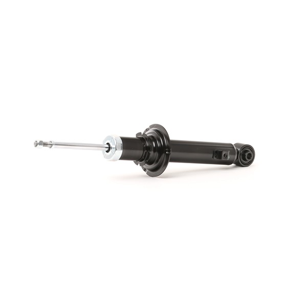 854S0489 RIDEX NA5334700B Stoßdämpfer
