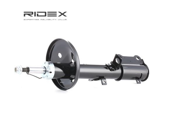 RIDEX 485401A250 Stötdämpare